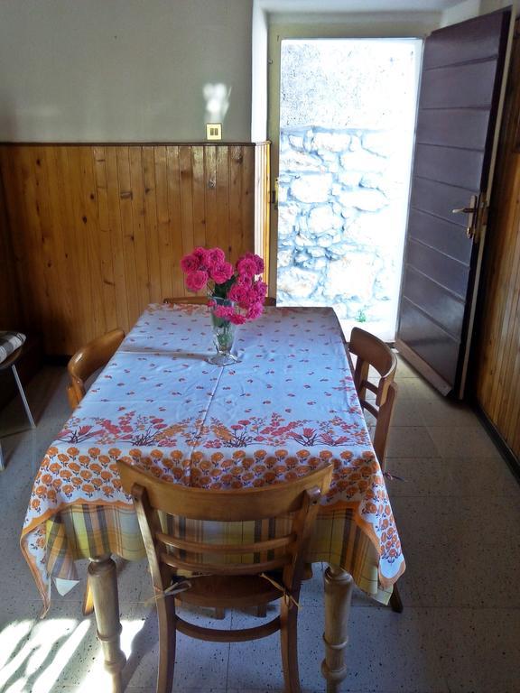 Apartment Merikanic Beli Room photo